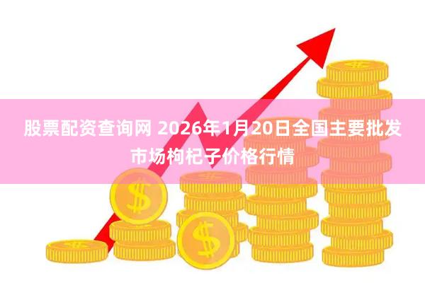 股票配资查询网 2026年1月20日全国主要批发市场枸杞子价格行情
