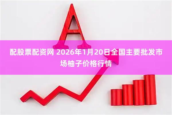 配股票配资网 2026年1月20日全国主要批发市场柚子价格行情