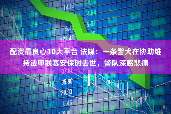 配资最良心10大平台 法媒：一条警犬在协助维持法甲联赛安保时去世，警队深感悲痛