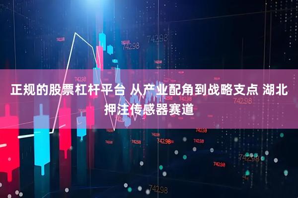 正规的股票杠杆平台 从产业配角到战略支点 湖北押注传感器赛道